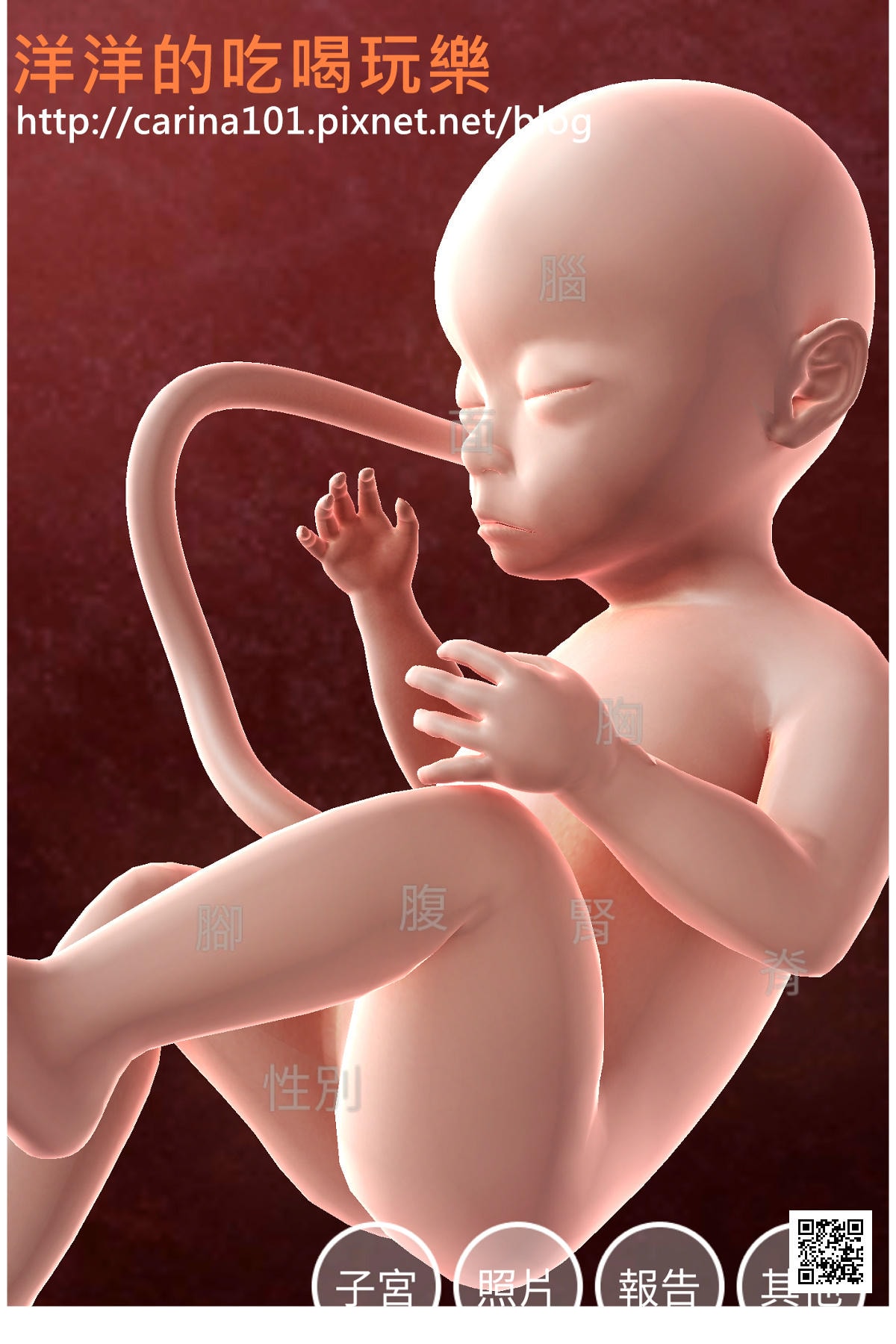 20250926-nv6hm