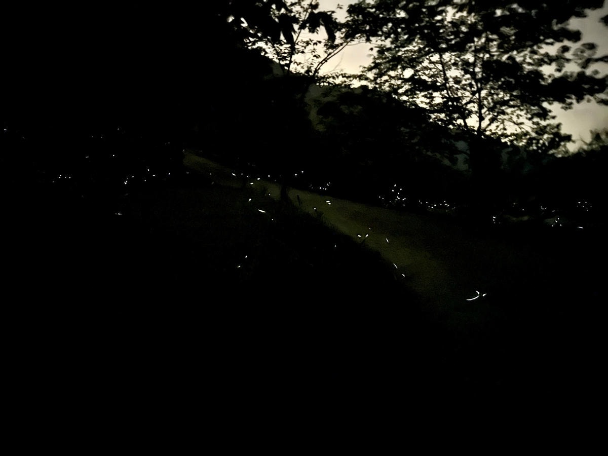 20250926-mgtf1